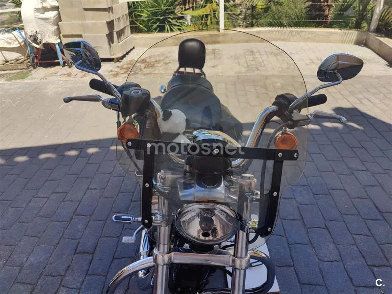 Harley-Davidson Sportster 883 - Vista 13