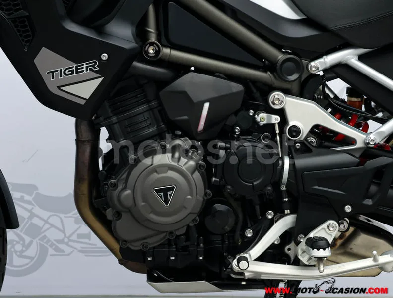Triumph Tiger 1200 GT – Vista 9