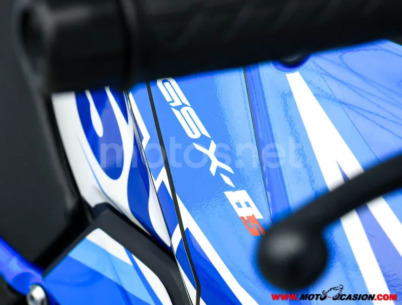 Suzuki GSX-8S – Vista 9