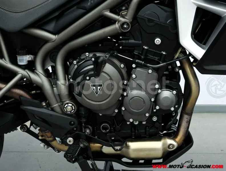 Triumph Tiger 800 XR – Vista 5