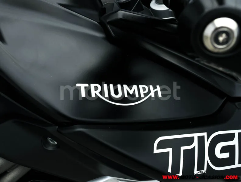 Triumph Tiger 800 XR – Vista 9