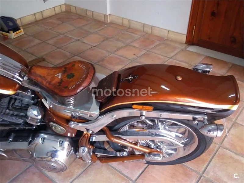 Harley-Davidson CVO Softail Springer – Vista 4