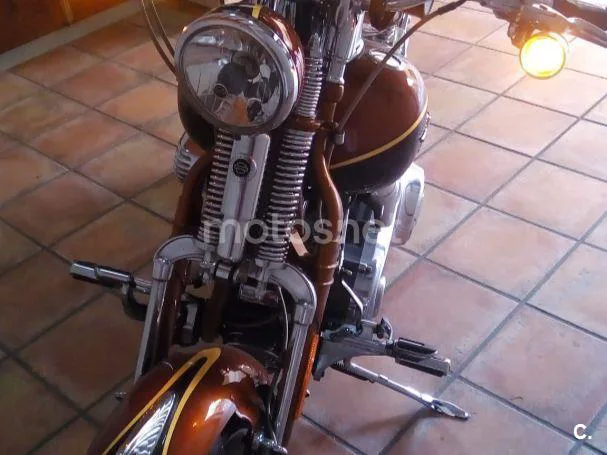 Harley-Davidson CVO Softail Springer – Vista 5
