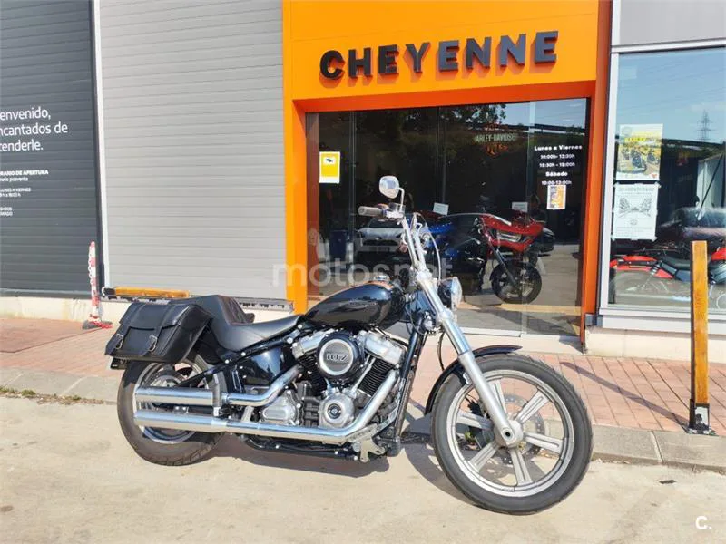 Harley-Davidson Softail Standard – Vista 3