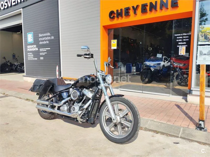 Harley-Davidson Softail Standard – Vista 4