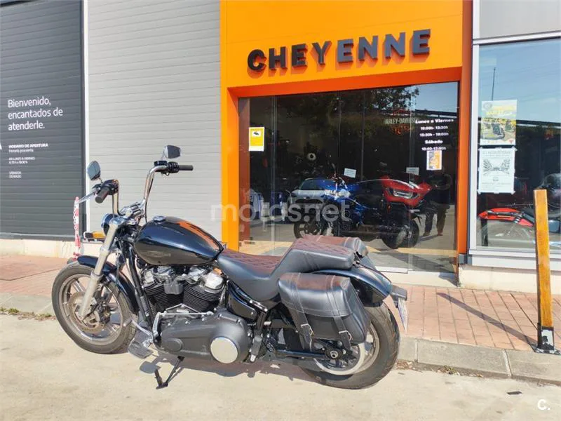 Harley-Davidson Softail Standard – Vista 8