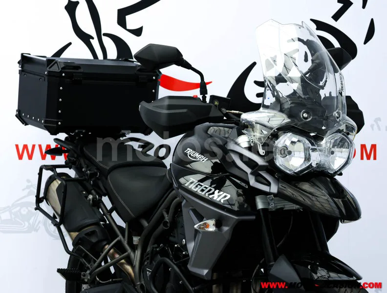 Triumph Tiger 800 - Vista 4