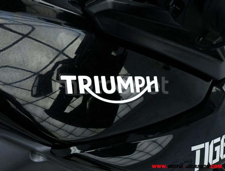 Triumph Tiger 800 - Vista 9