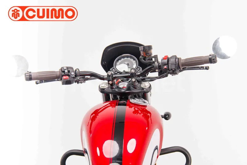 Triumph Speed Twin 900 - Vista 40