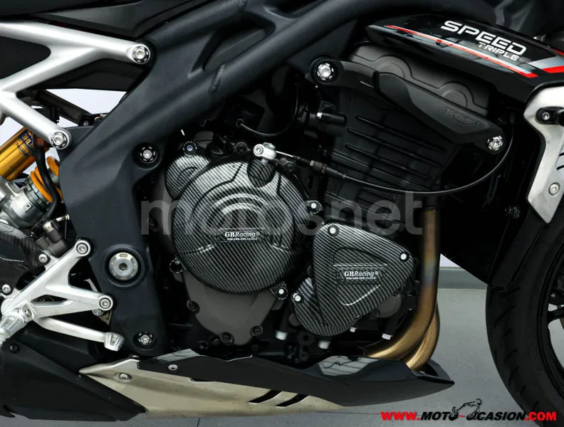 Triumph Speed Triple - Vista 5
