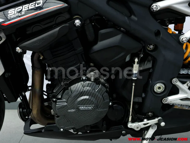 Triumph Speed Triple - Vista 10