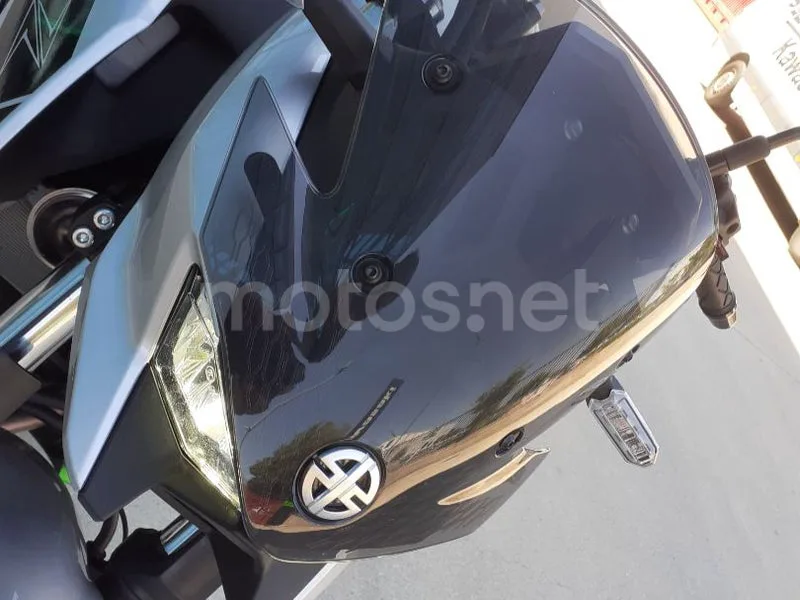 Kawasaki Z7 Hybrid - Vista 12