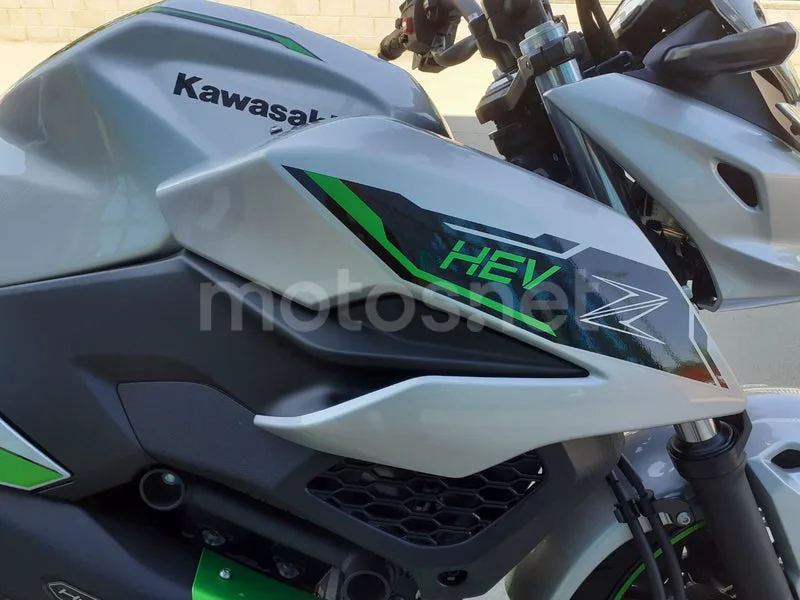 Kawasaki Z7 Hybrid - Vista 14
