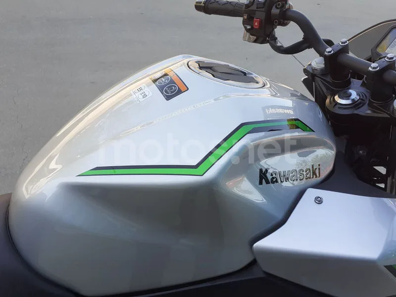 Kawasaki Z7 Hybrid - Vista 17