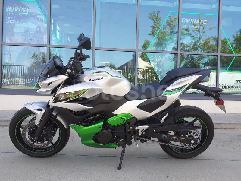 Kawasaki Z7 Hybrid - Vista 3