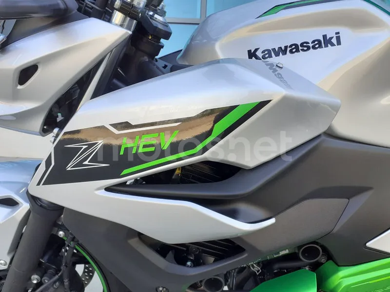 Kawasaki Z7 Hybrid - Vista 10