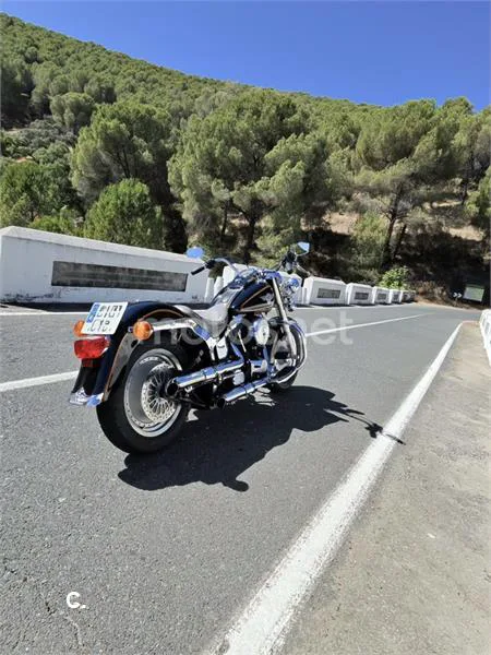 Harley-Davidson Heritage Softail - Vista 3