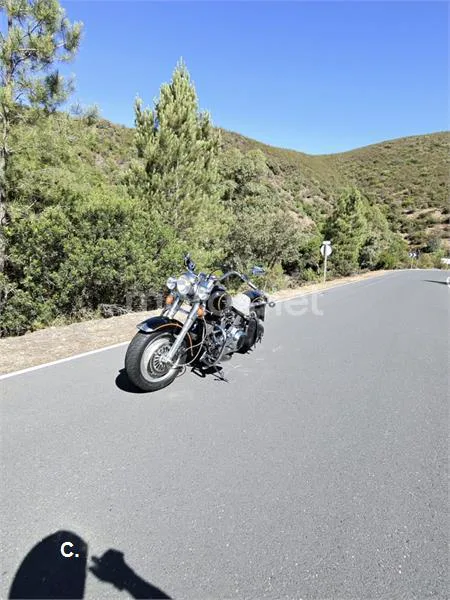 Harley-Davidson Heritage Softail - Vista 5