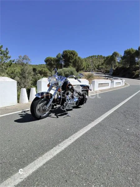 Harley-Davidson Heritage Softail - Vista 6