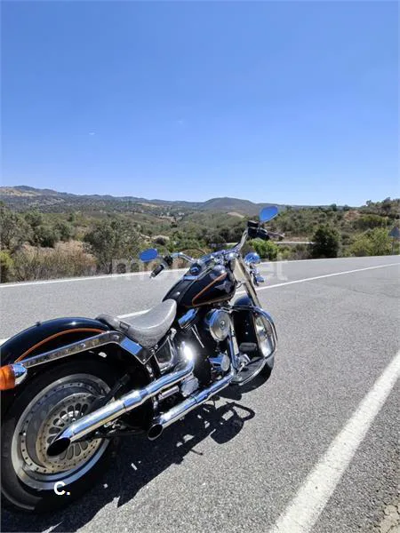 Harley-Davidson Heritage Softail - Vista 7