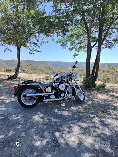 Harley-Davidson Heritage Softail - Vista 8