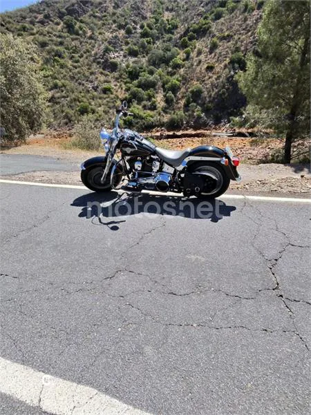 Harley-Davidson Heritage Softail - Vista 9
