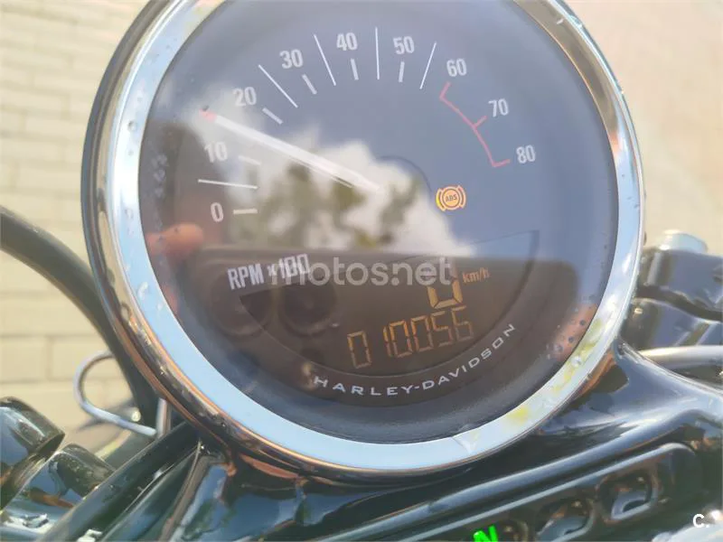 Harley-Davidson Sportster 1200 - Vista 8