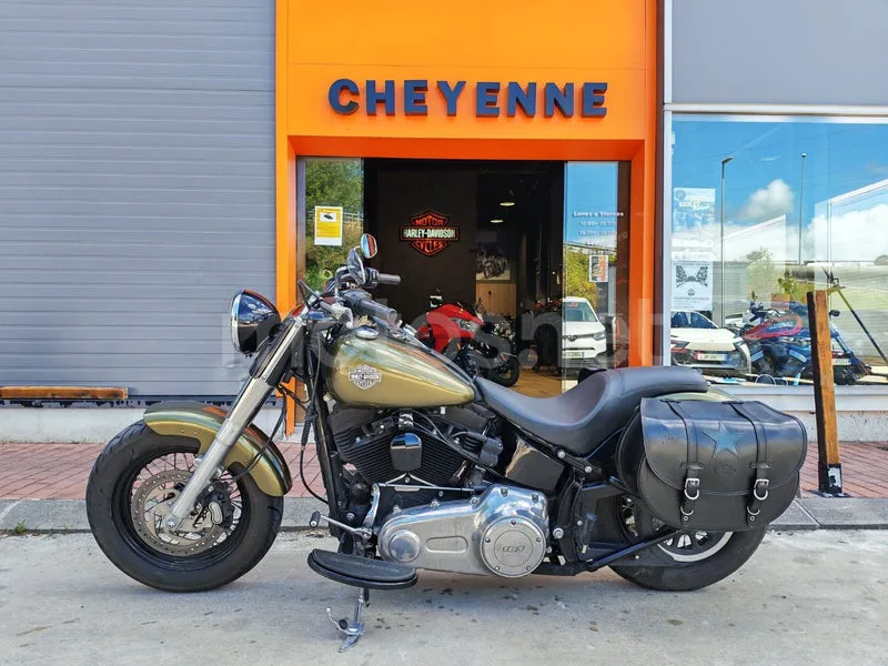 Harley-Davidson Softail Slim - Vista 12