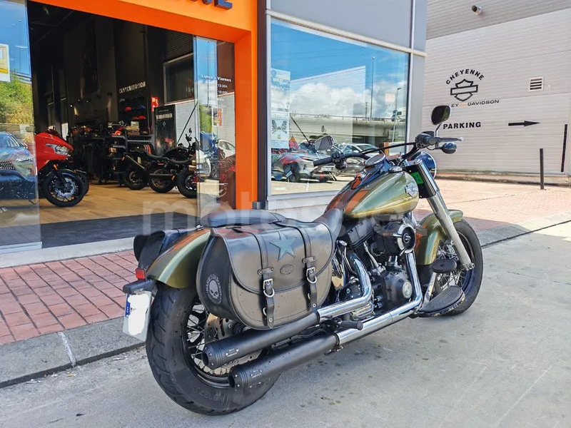 Harley-Davidson Softail Slim - Vista 5