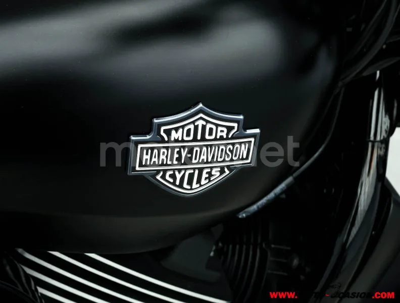 Harley-Davidson Street 750 - Vista 9
