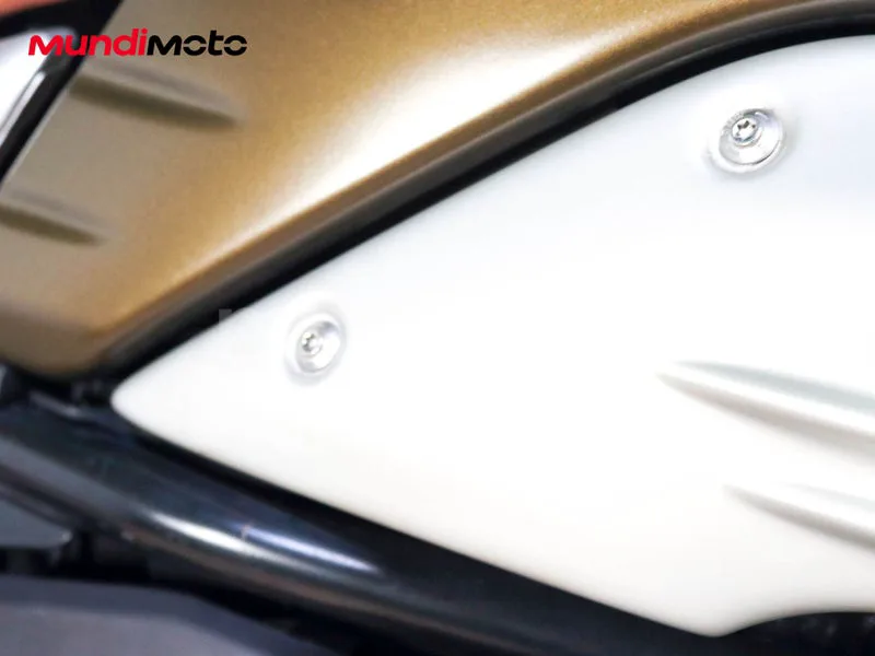 BMW R nineT - Vista 15