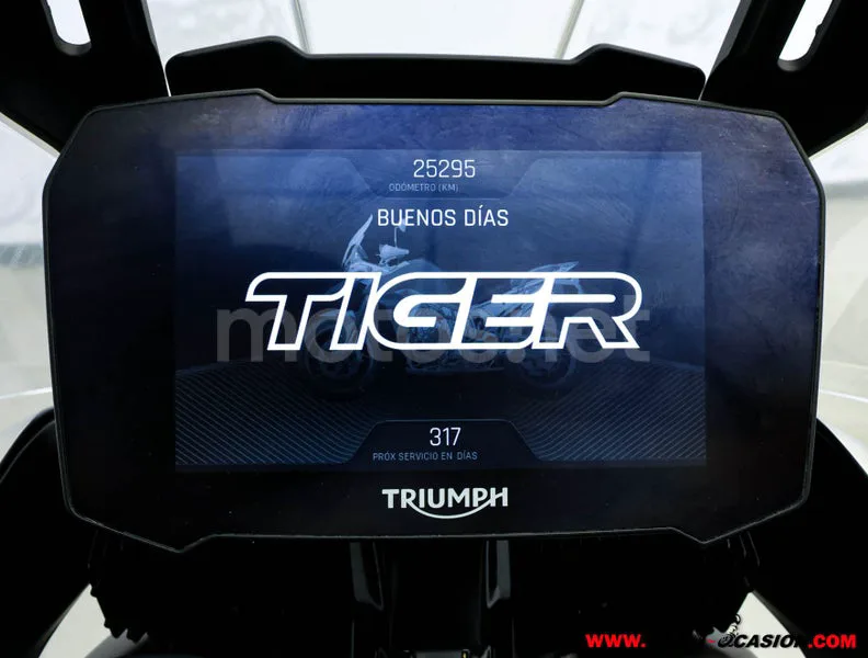 Triumph Tiger 900 - Vista 6