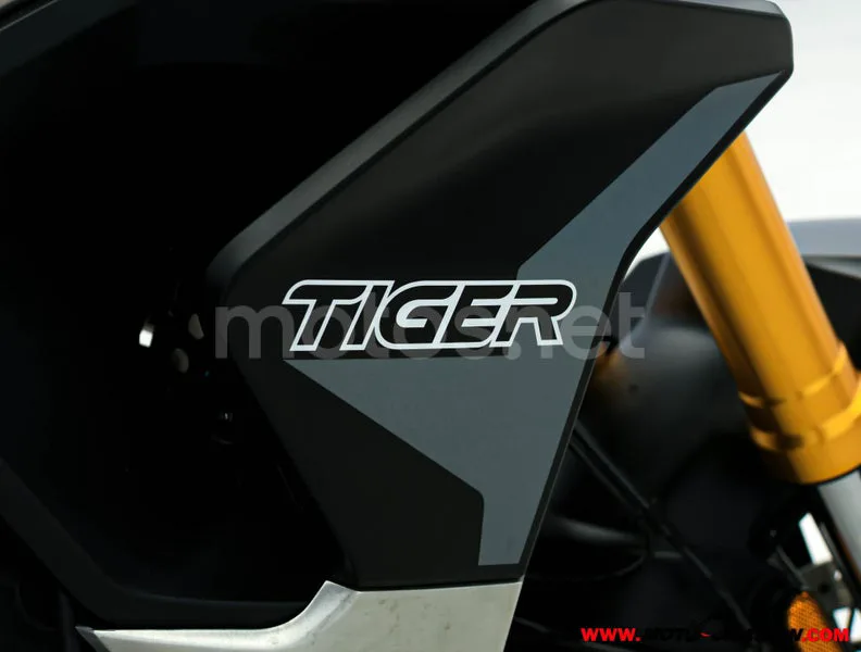 Triumph Tiger 900 - Vista 9