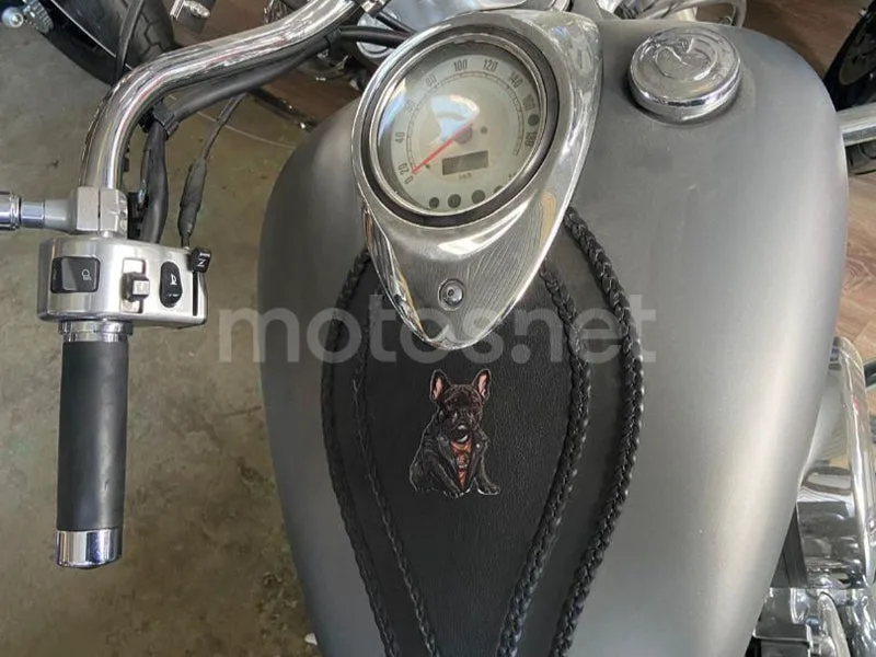 Yamaha XVS1100 Drag Star Classic - Vista 7