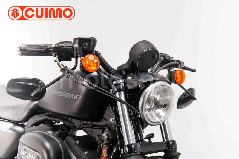 Harley-Davidson Iron 883 - Vista 11
