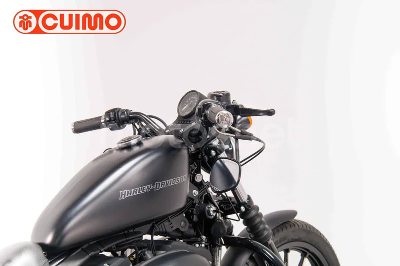 Harley-Davidson Iron 883 - Vista 18
