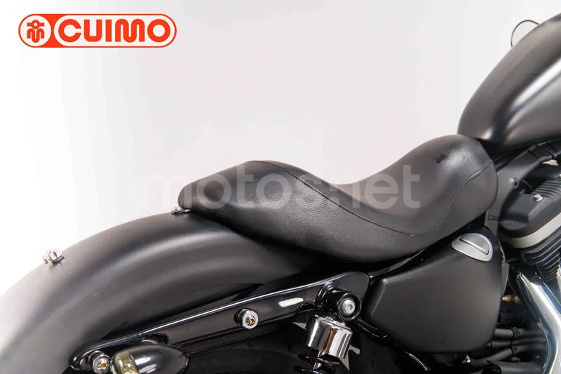 Harley-Davidson Iron 883 - Vista 19