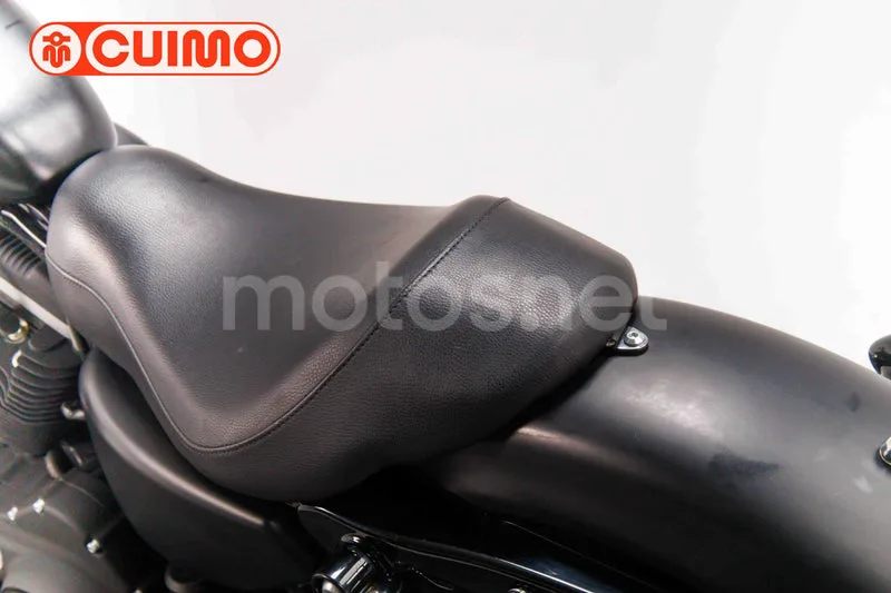 Harley-Davidson Iron 883 - Vista 21