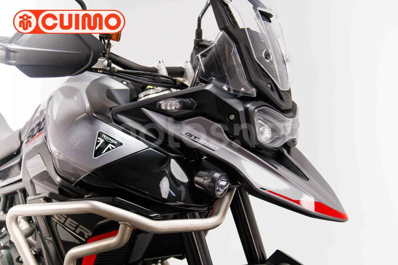 Triumph Tiger 900 - Vista 11
