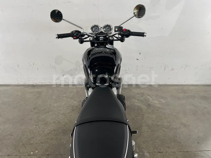 Triumph Bonneville T100 - Vista 23
