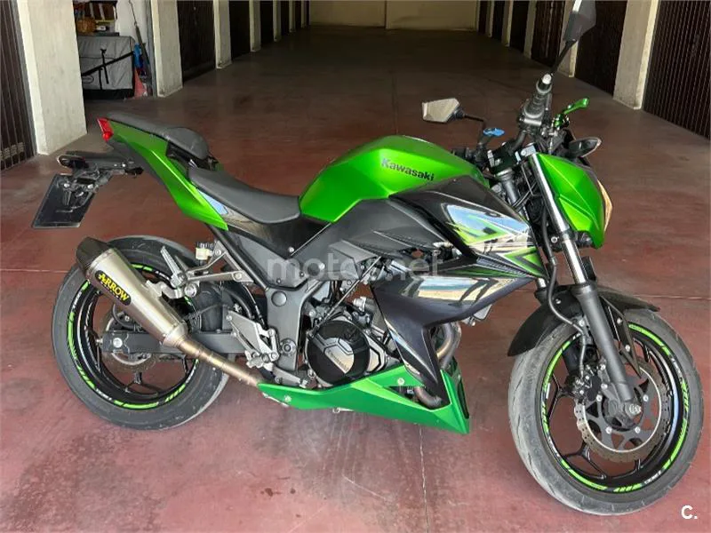 Kawasaki Z300 - Vista 5
