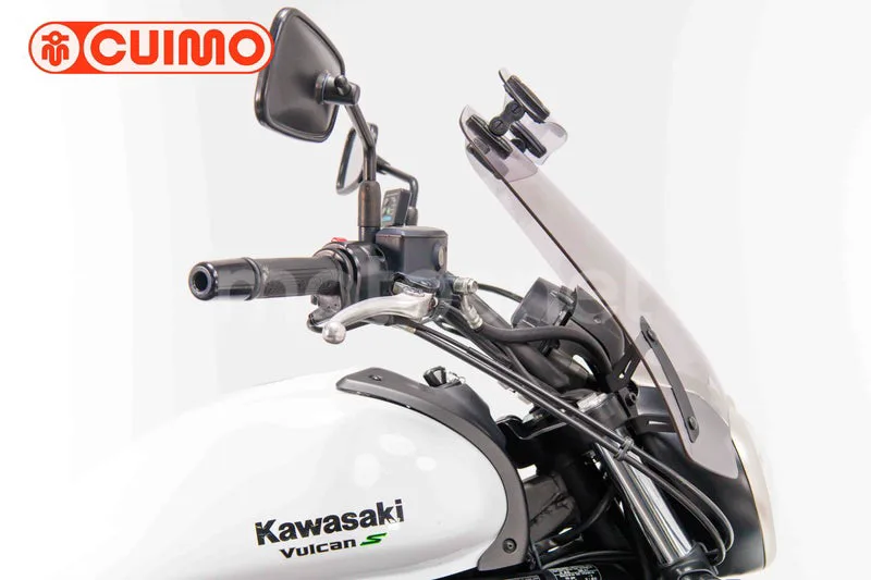 Kawasaki Vulcan S - Vista 19