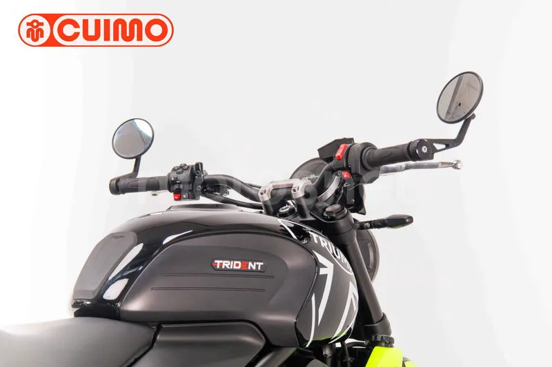 Triumph Trident 660 - Vista 20