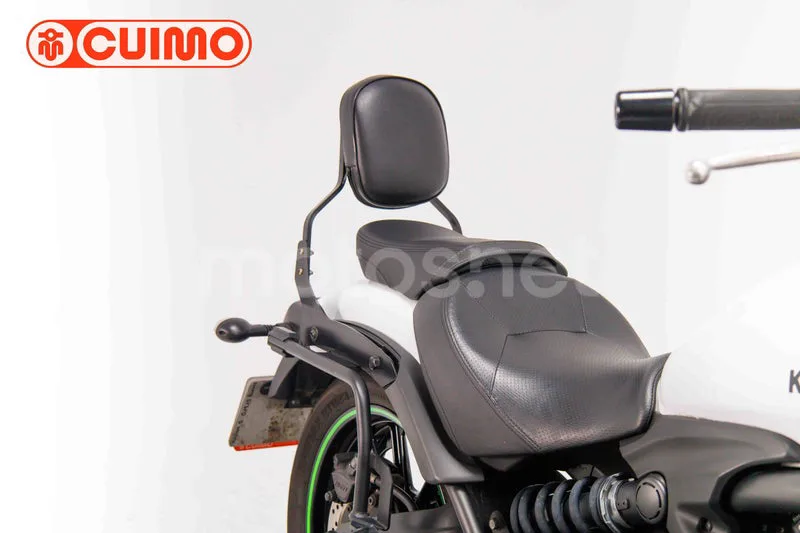 Kawasaki Vulcan S - Vista 12