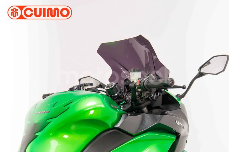Kawasaki Z1000 SX - Vista 15