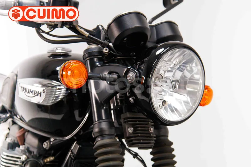 Triumph Bonneville T100 - Vista 11