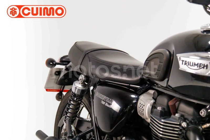 Triumph Bonneville T100 - Vista 12