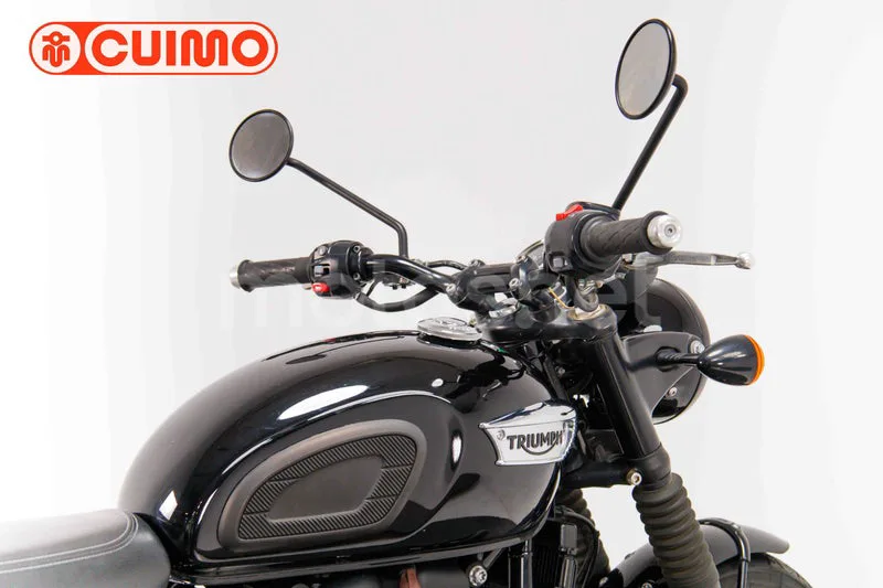 Triumph Bonneville T100 - Vista 15