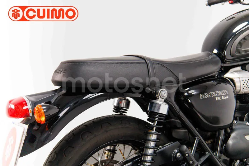 Triumph Bonneville T100 - Vista 16