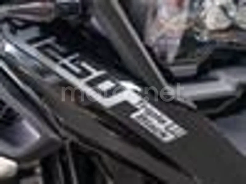 BMW R 1250 GS - Vista 11